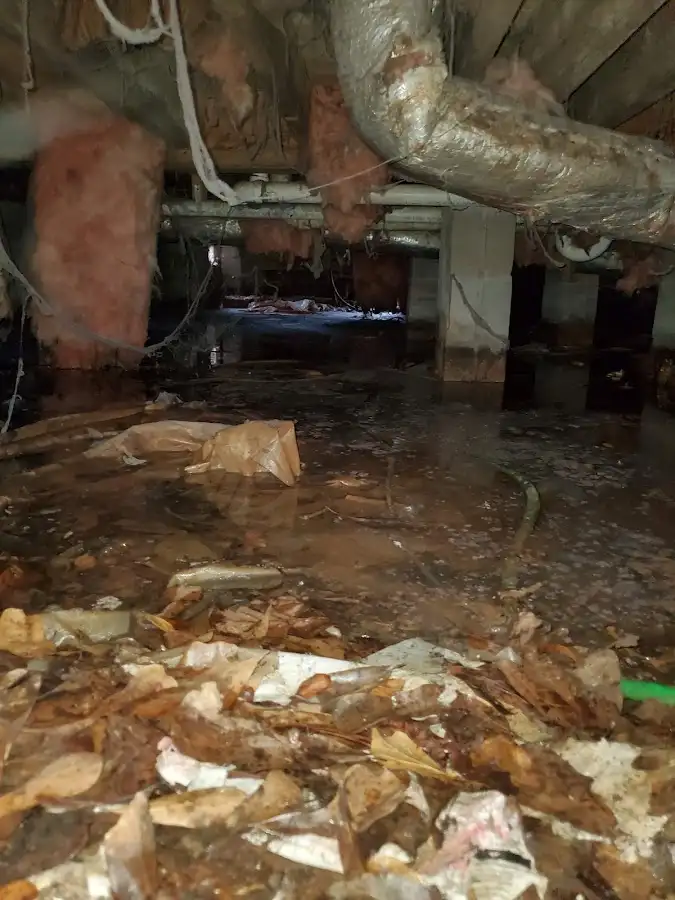 Crawl space flood assessment for Leak Detection & Repair in Benton